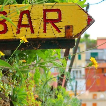Virgilio'S Garden Bed & Breakfast Castellammare di Stabia Luaran gambar